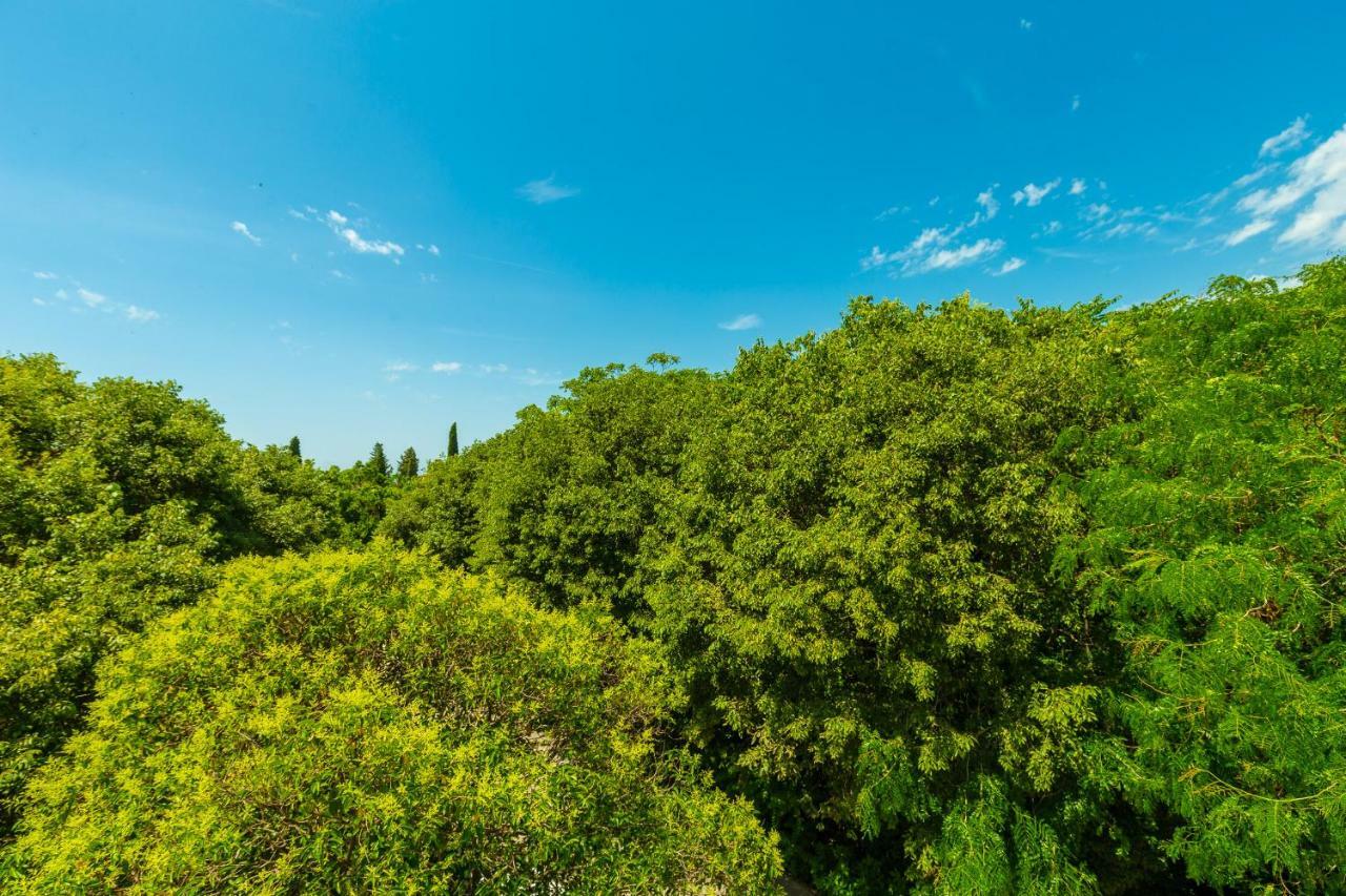 Hedera Estate, Hedera A1 Διαμέρισμα Ντουμπρόβνικ Εξωτερικό φωτογραφία